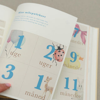 Boken om mig - Barnets bok, Fyll i dig bok