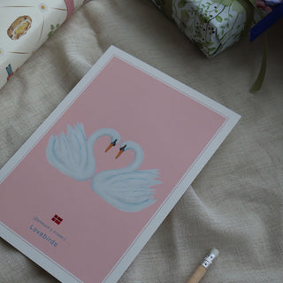 Korta, danska, Lovebirds