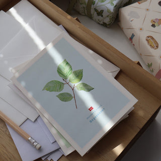 Vik karta, dansk, Bøgeskoven