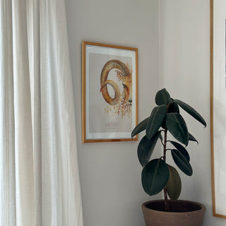 Affisch, Zodiacs, Väduren / Väduren