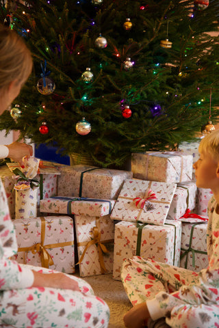 Presentpapper, 5 m, Cookie