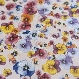 Presentpapper, 5 m, Pansy